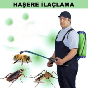 Karlıova Böcek İlaçlama